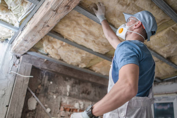 Best Insulation Materials and Products in Aurora, IL